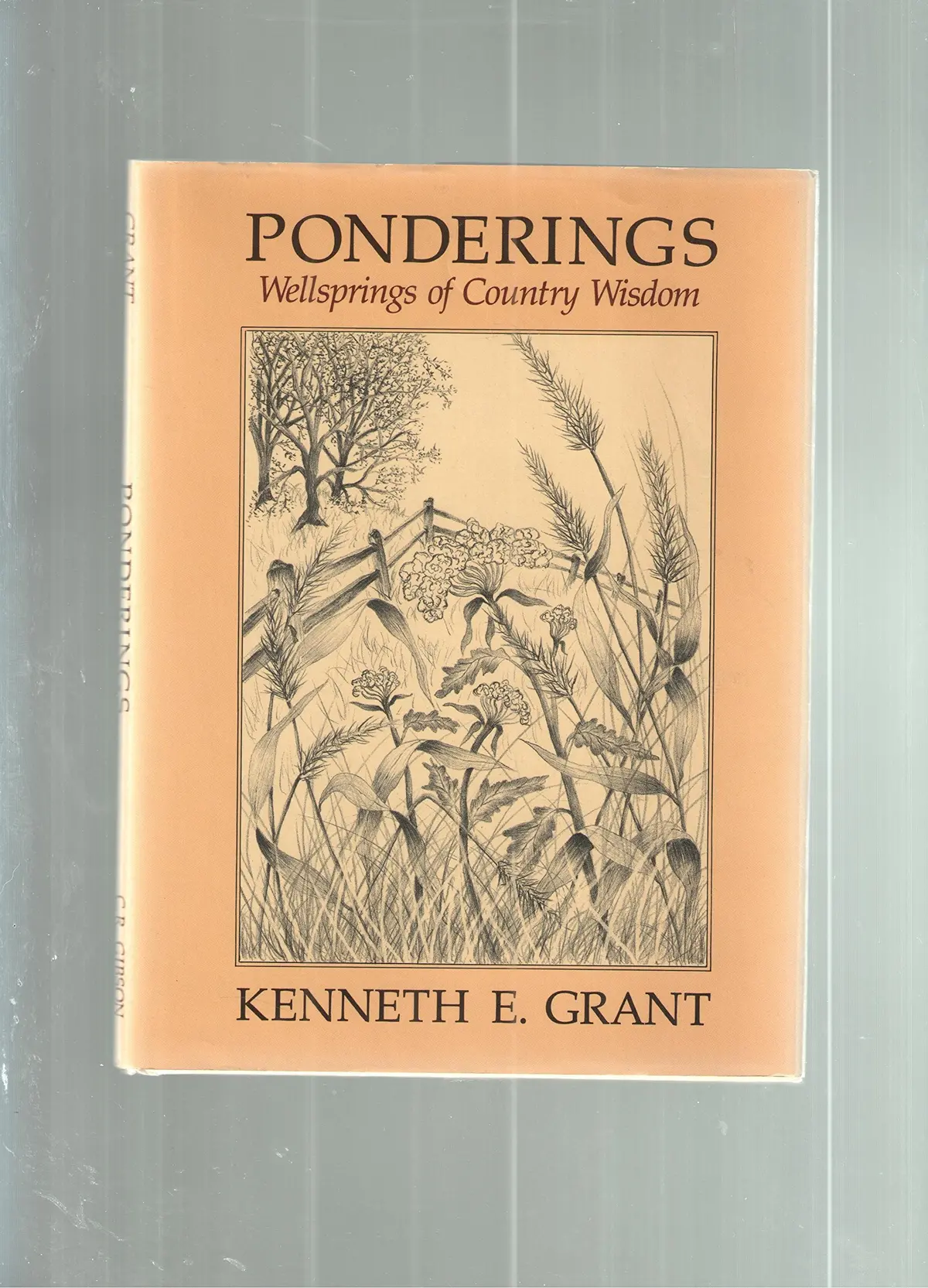 Ponderings Grant, Kenneth 1