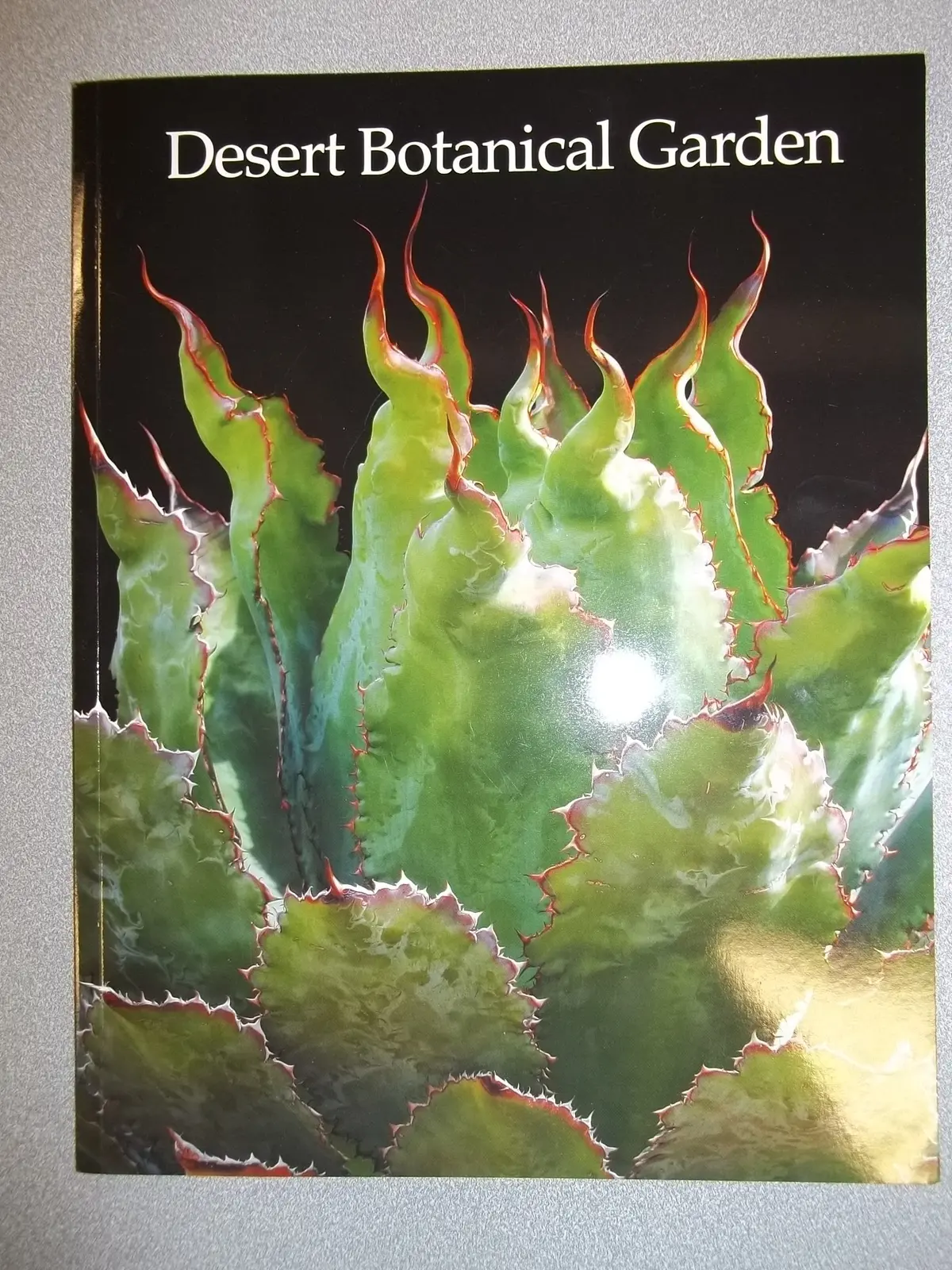 Desert Botanical Garden [Unknown Binding] Unknown Author 1