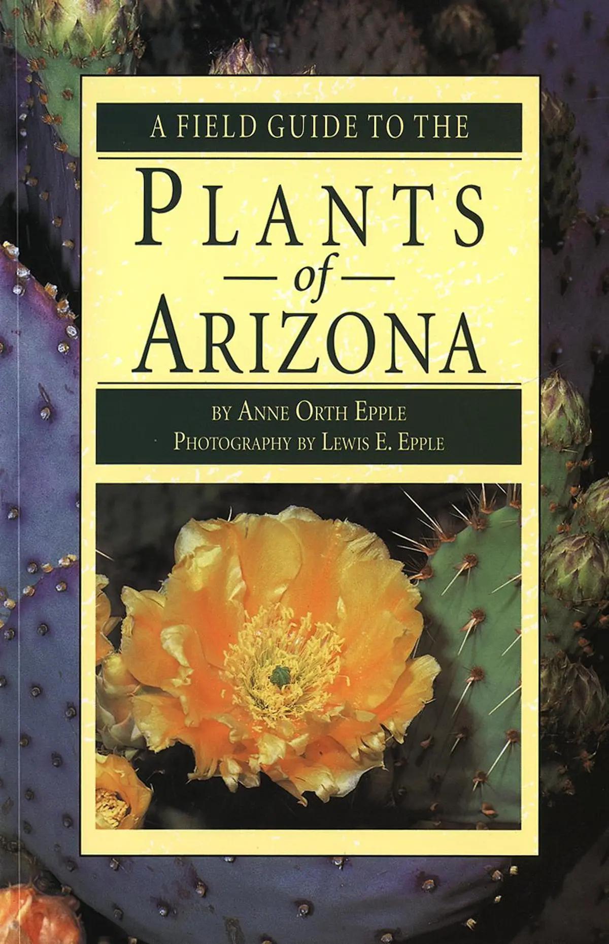 A Field Guide To The Plants Of Arizona Epple, Anne Orth 1