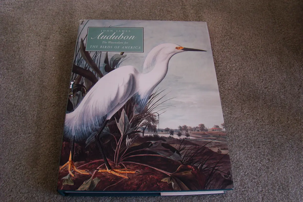 John James Audubon: The Watercolors For The Birds Of America Blaugrund, Annette 1