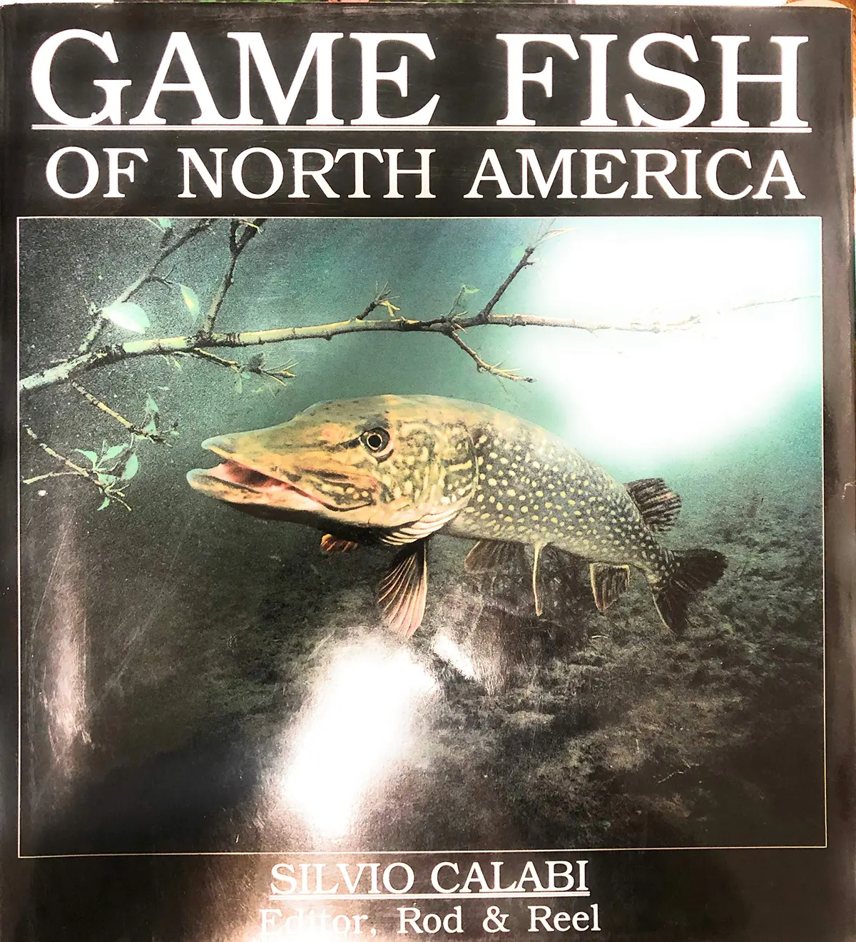 Game Fish Of North America Calabi, Silvio 1