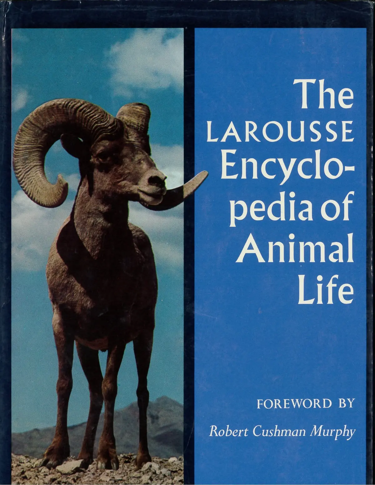 The Larousse Encyclopedia Of Animal Life [Hardcover] Murphy, Robert Cushman (Forward) 1