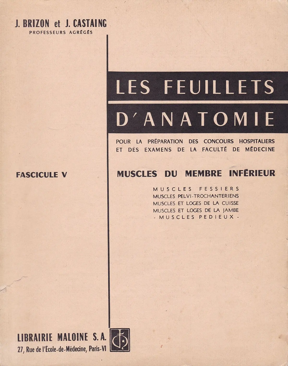 Les Feuillets D'anatomie. Muscles Du Membre Inférieur [Paperback] 1