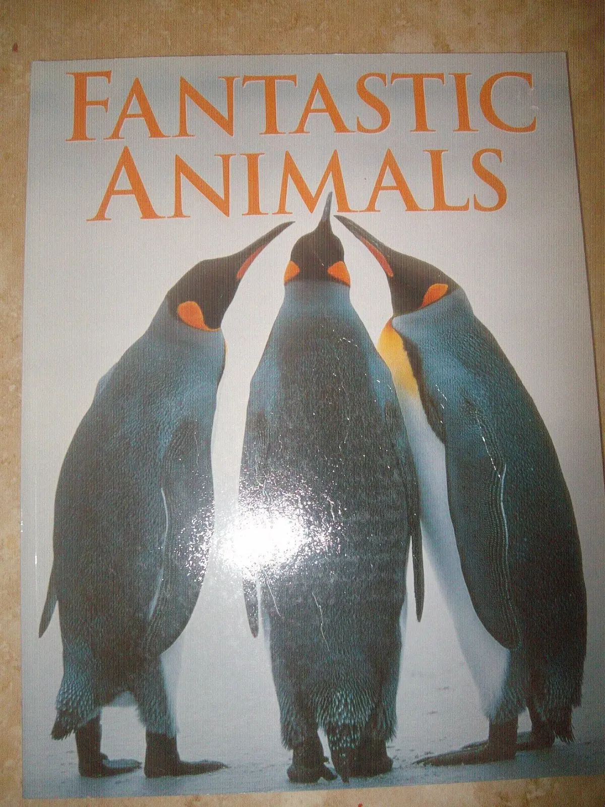 Fantastic Animals [Paperback] No Stated Author (Buckland, Alfred Cecil) 1