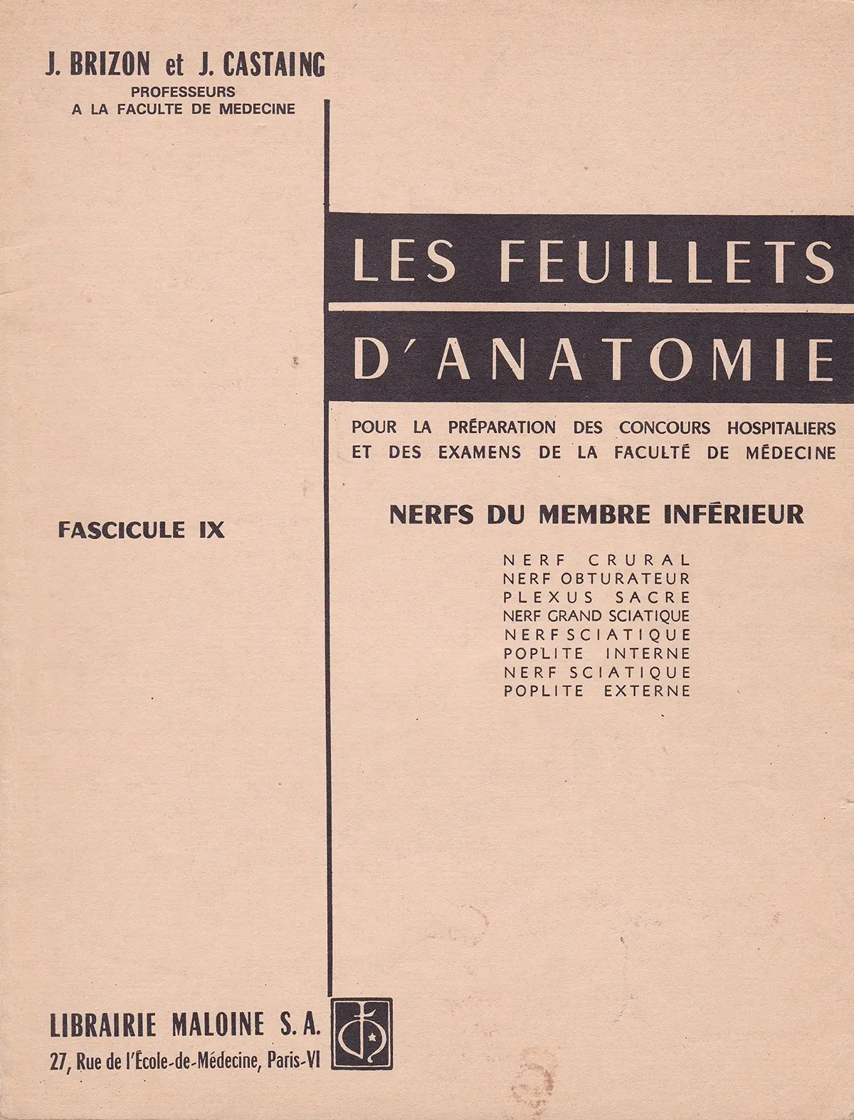 Les Feuillets D'anatomie. Nerfs Du Membre Inférieur [Paperback] J. Brizon And J. Castaing 1