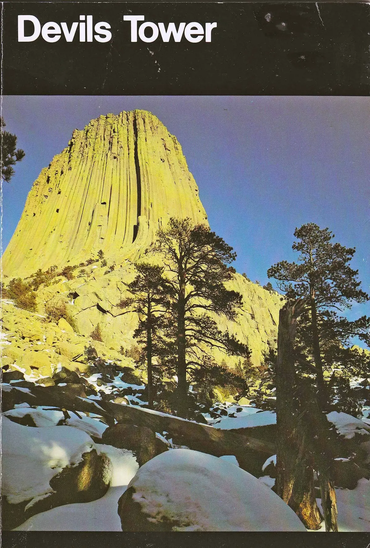 Devil's Tower (National Park Handbook, 111) [Paperback] National Park Service 1