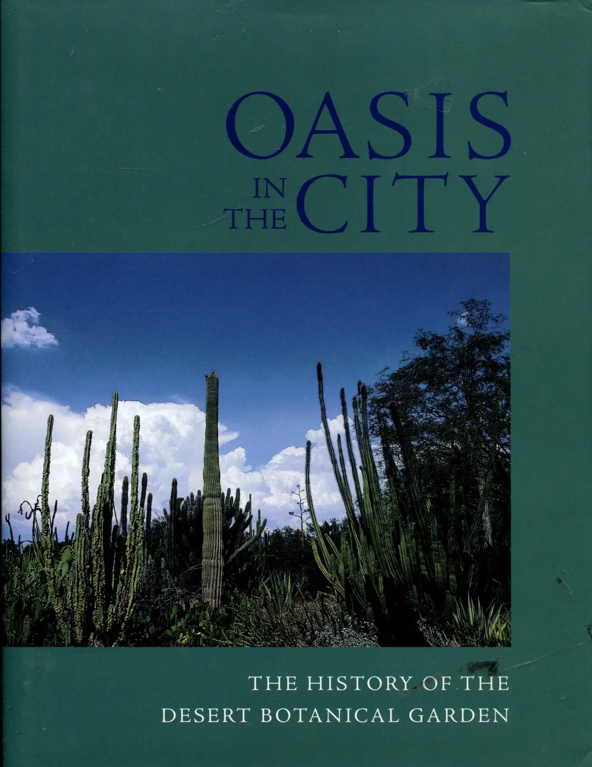 Oasis In The City [Hardcover] Tara A. Blanc 1