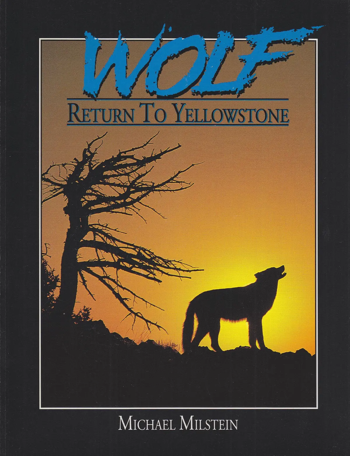 Wolf: Return To Yellowstone Michael Milstein 1