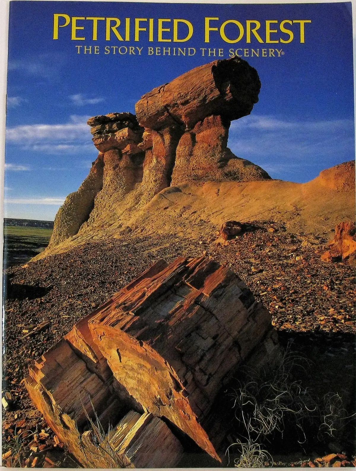 Petrified Forest: The Story Behind The Scenery [Paperback] Sidney R. Ash And David D. May 1