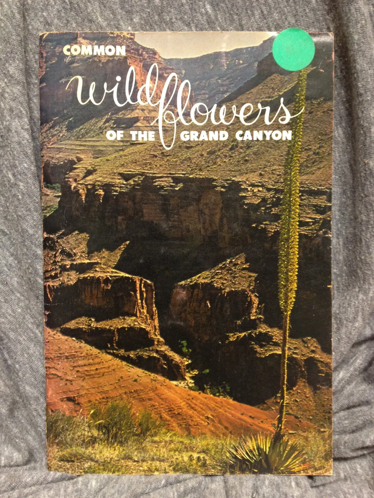 Common Wildflowers Of The Grand Canyon. [Paperback] John W. And Joanne W. Stockert Stockert 1