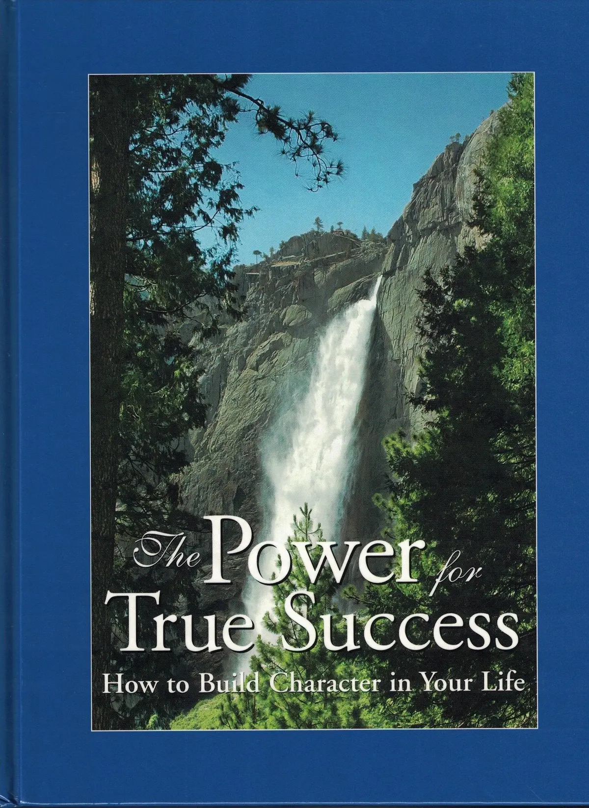 The Power For True Success: How To Build Character In Your Life Institute In Basic Life Principles 1