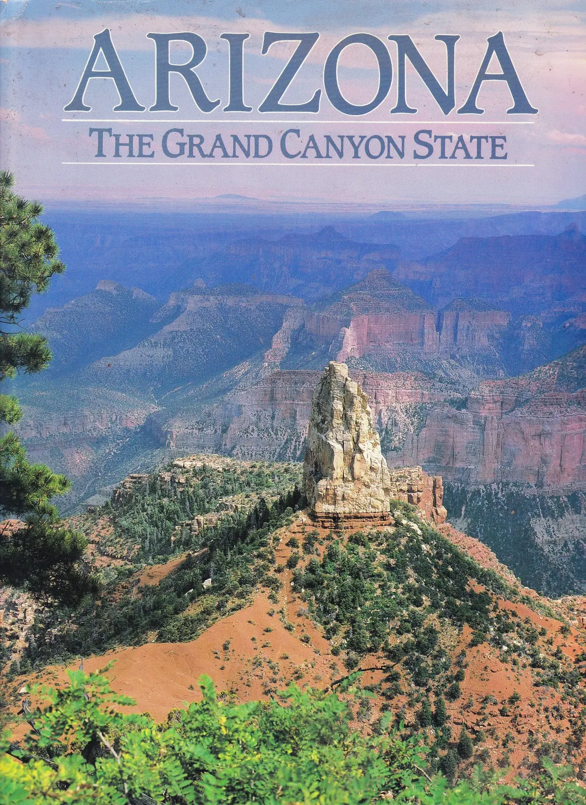 Arizona The Grand Canyon State Walker, Steven L. 1