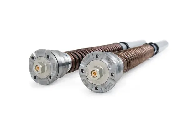 Öhlins 2019+ Bmw S1000rr Nix 30 Front Fork Cartridge Kit 1